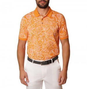 Robert Graham Dozer Polo Arancioni | 738HNLIPA