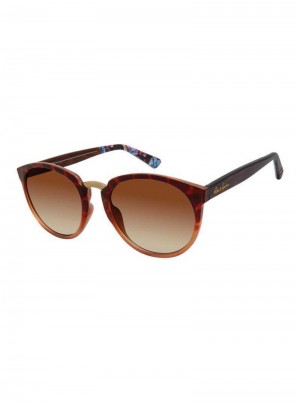 Robert Graham Exuma Sunglasses Tortoise | 814FOSCUQ